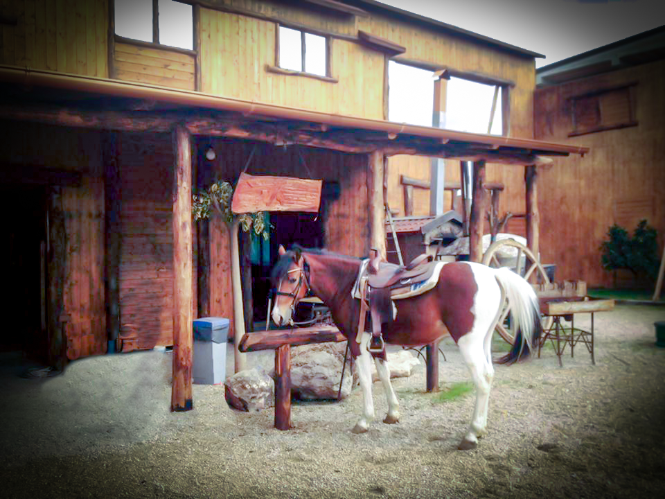 festa tema western cowboy country far west